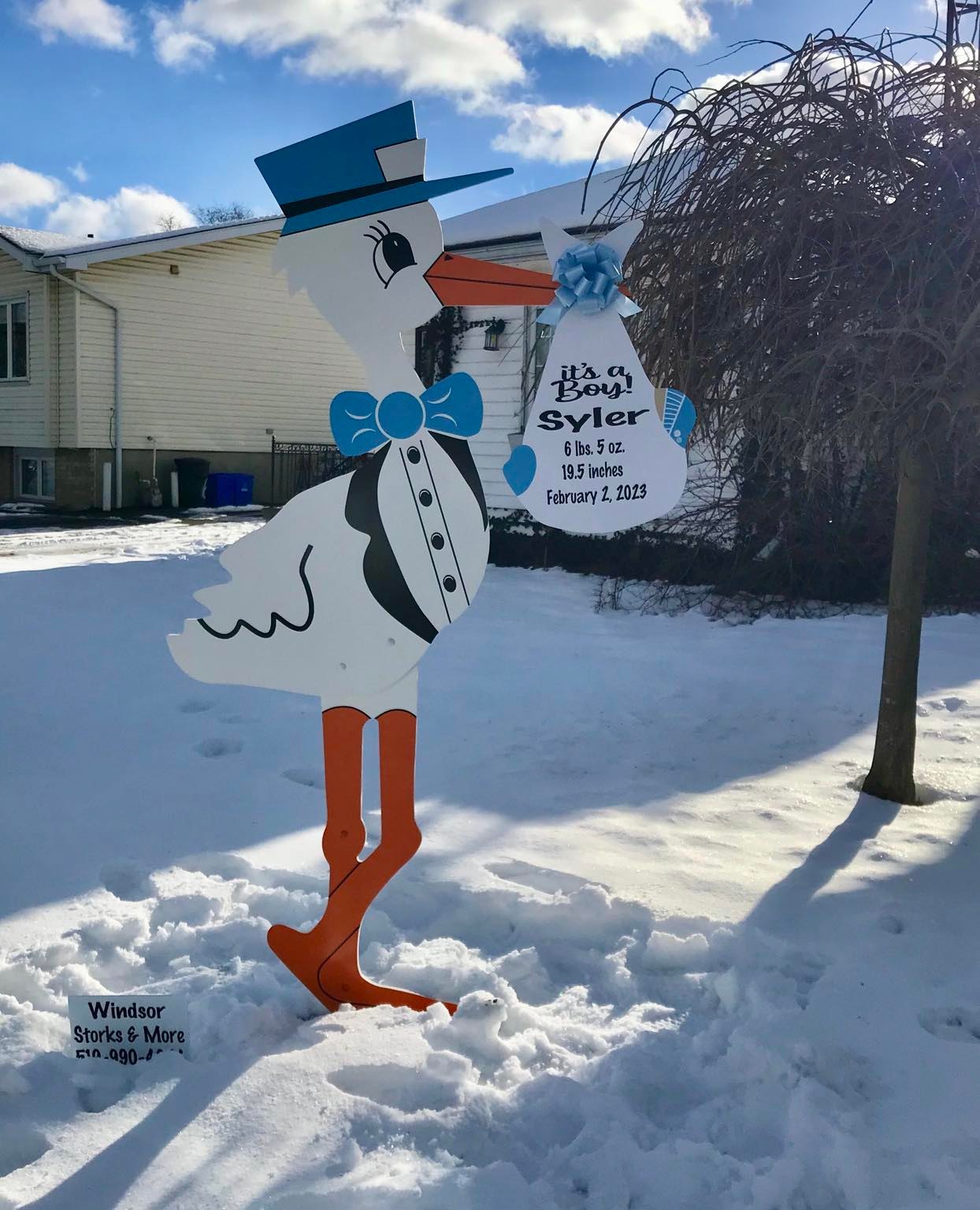 Birth Announcement Yard Sign Rental Windsor, Ontario Windsor Storks