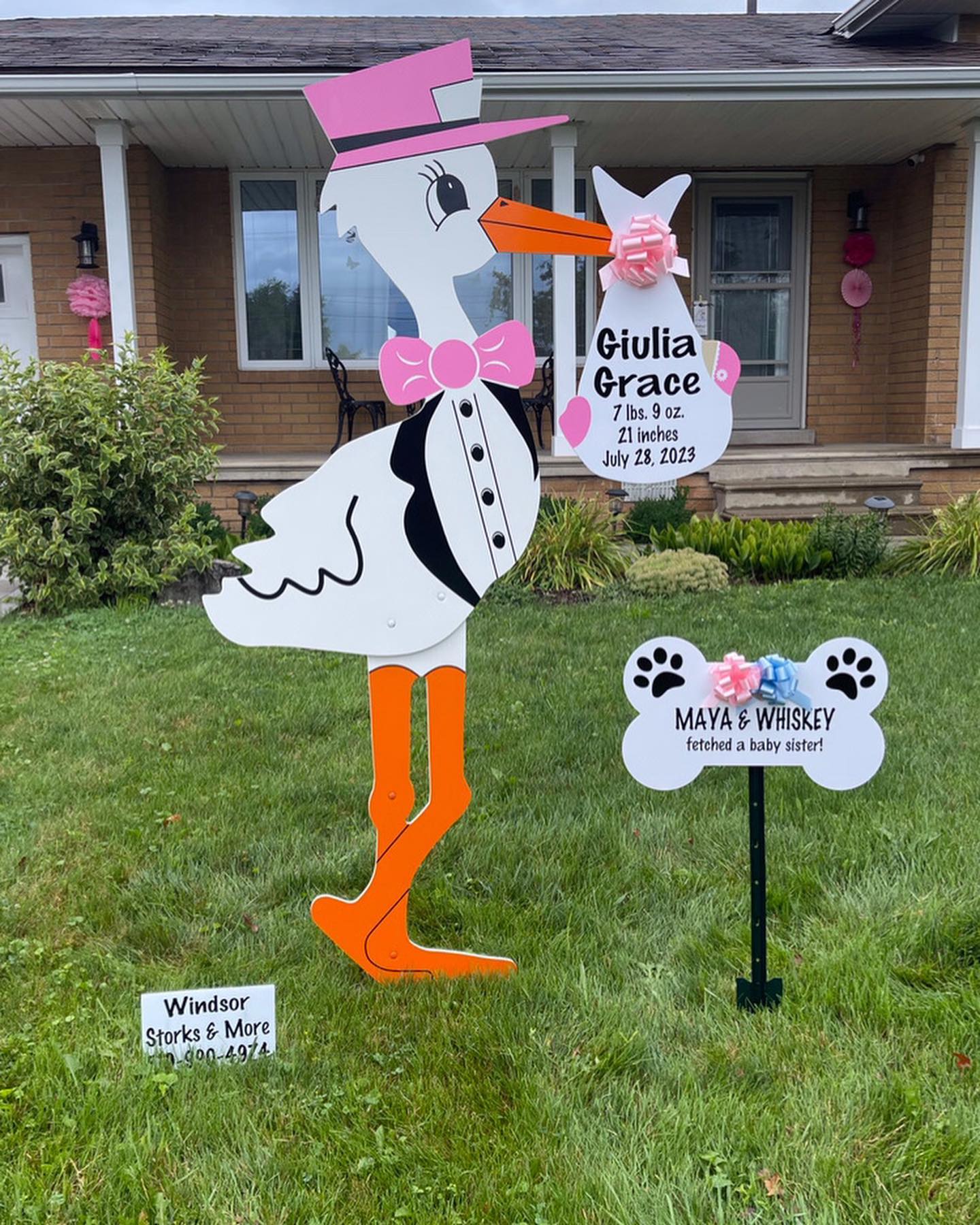 Birth Announcement Yard Sign Maidstone, ON Windsor Storks and More