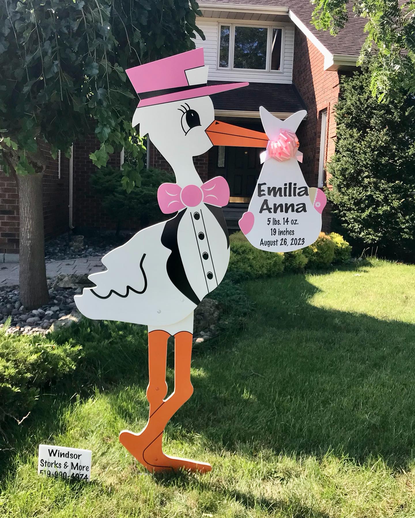 It’s A Girl Sign Rental Tecumseh, Ontario Windsor Storks and More